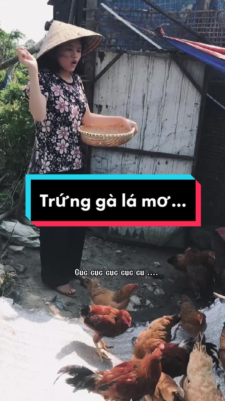 @Giađ&igrave;nh TậpTu