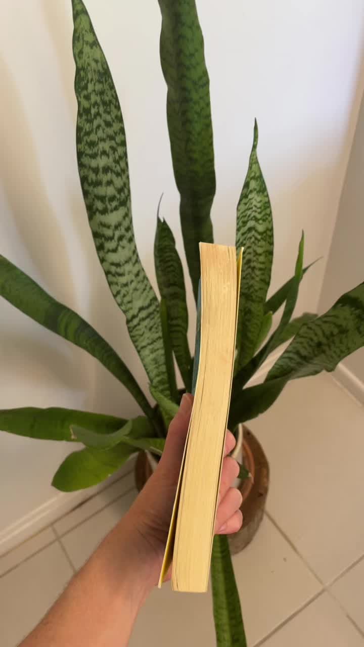 @hannahroysterauthor