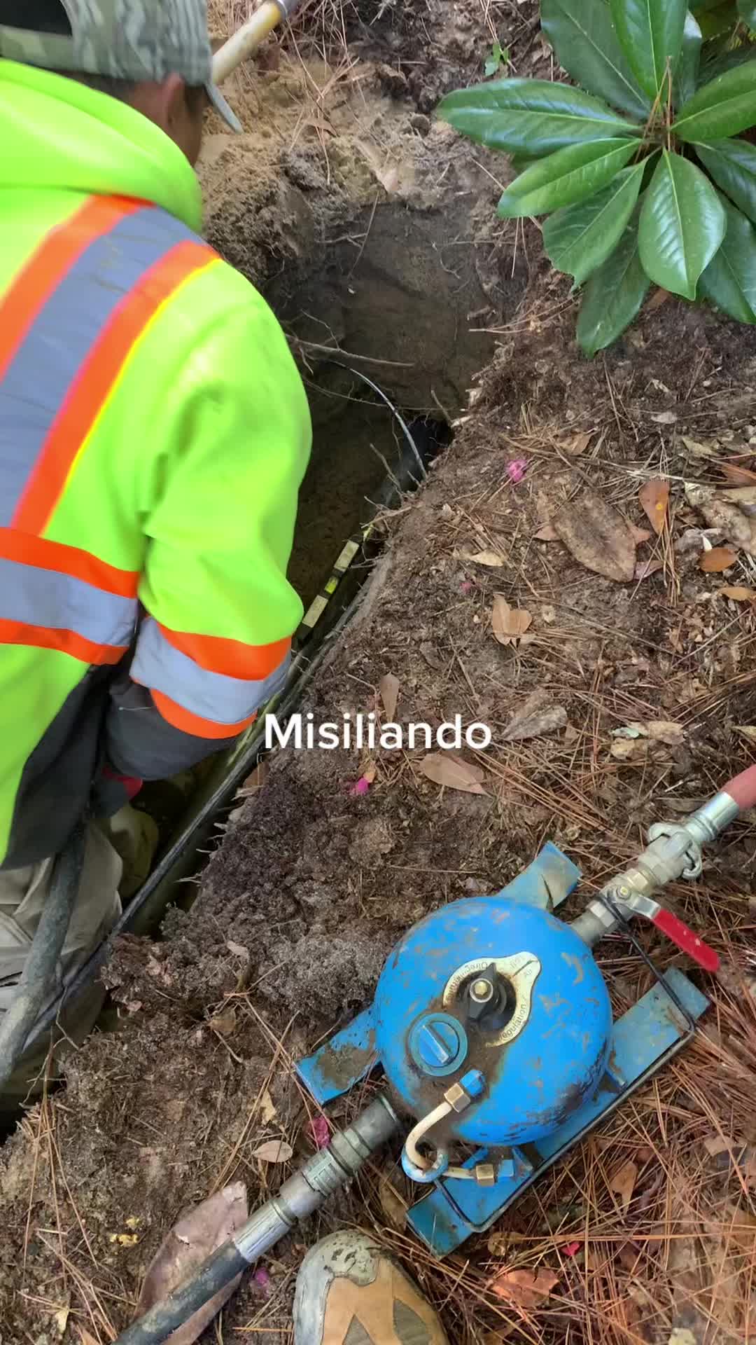 @Gustavo