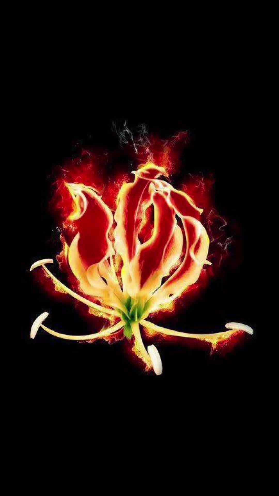 @பபிந்தன் செல்வச்சந்திரன்