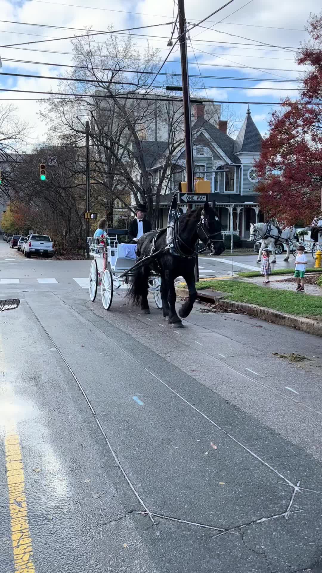 @southerncharmcarriages