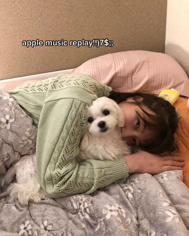 @t ✿