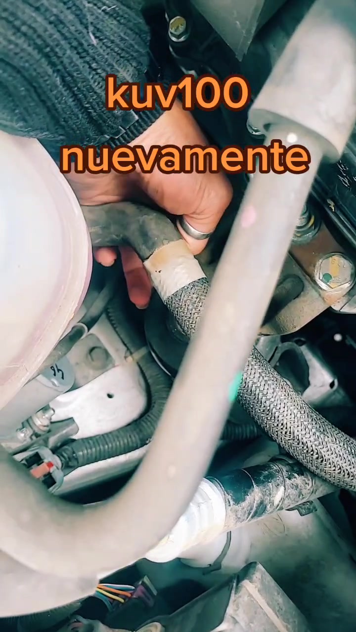 @AlvealiuMOficial
