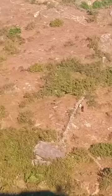 @purnashahi23