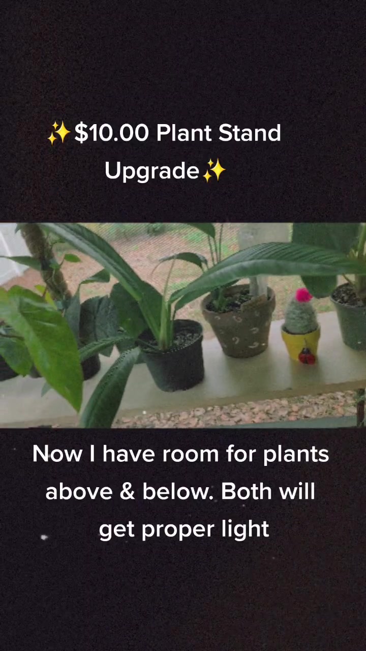 @BloomsWorld