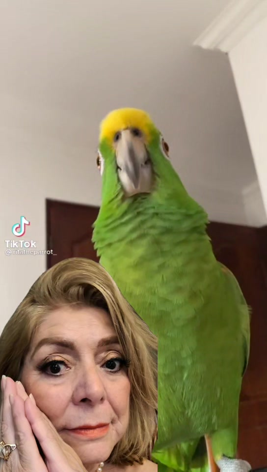 @Maria Florencia Zapata Arias