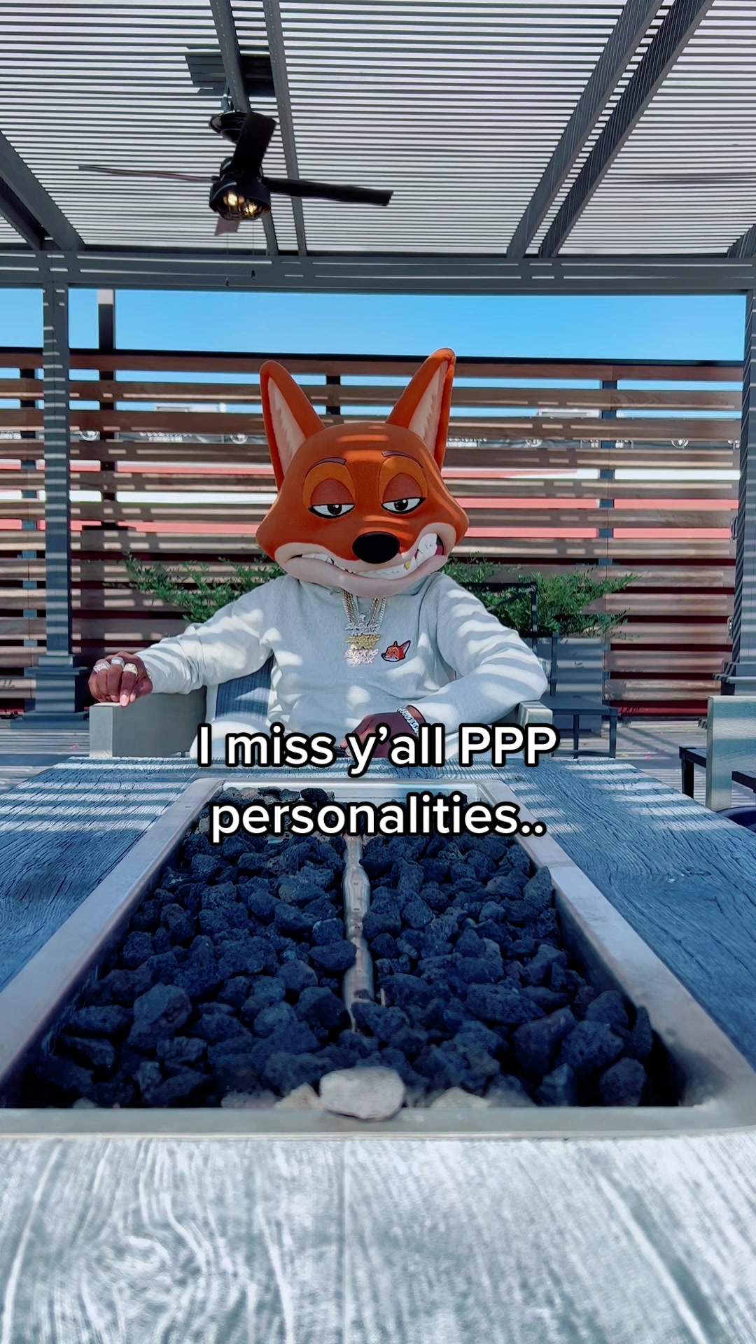 @Silky The Fox