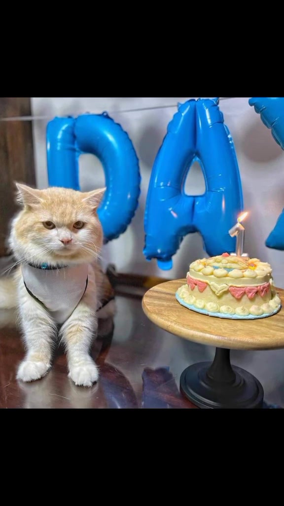 @makeandbakeforpets