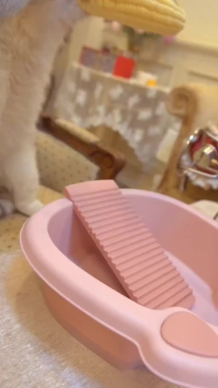 @lightspeedtaylor