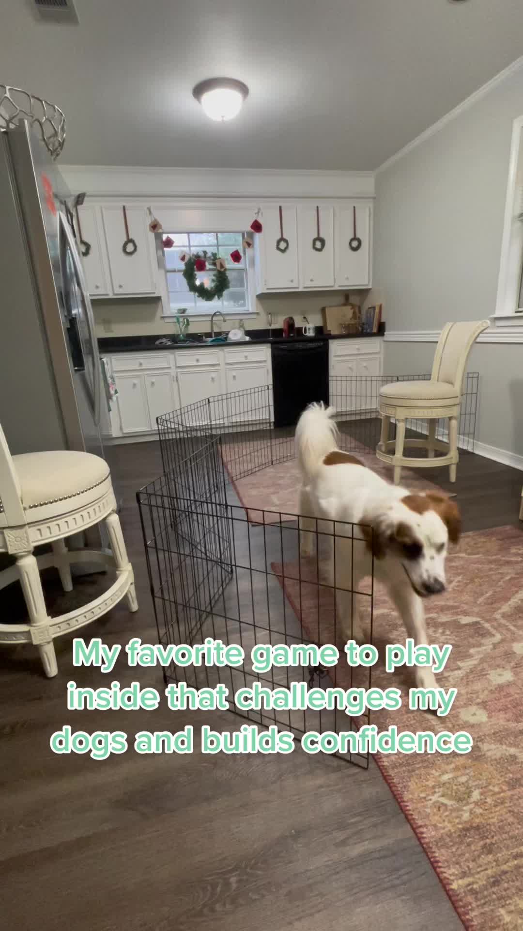 @sentientsparky