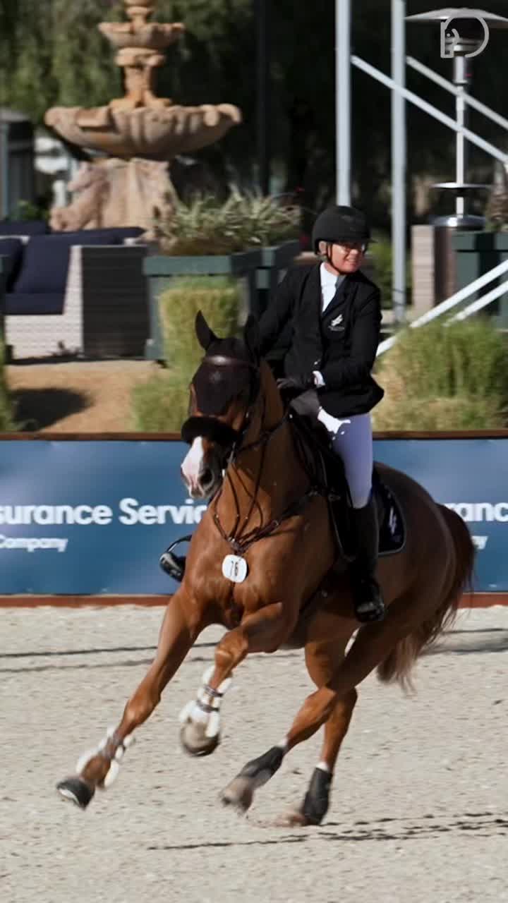 @HorseNetwork