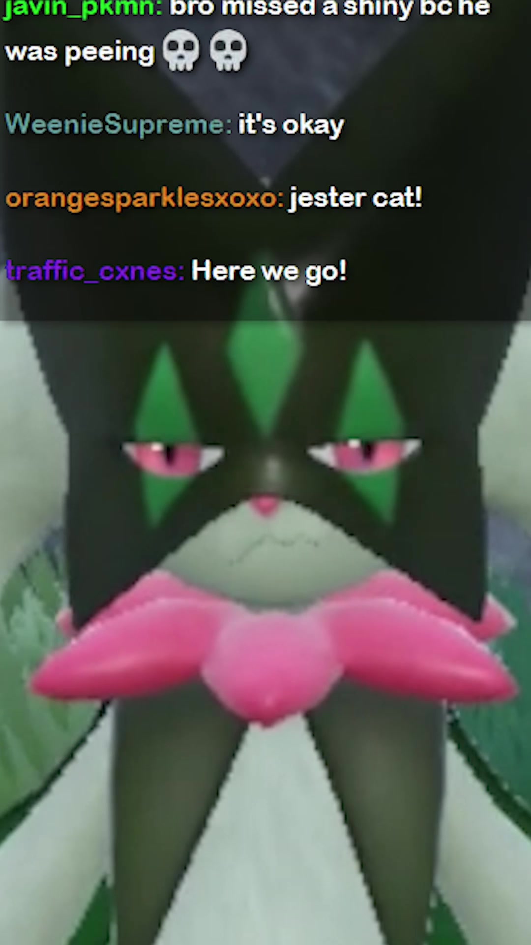@NeatMcKinley the Streamer