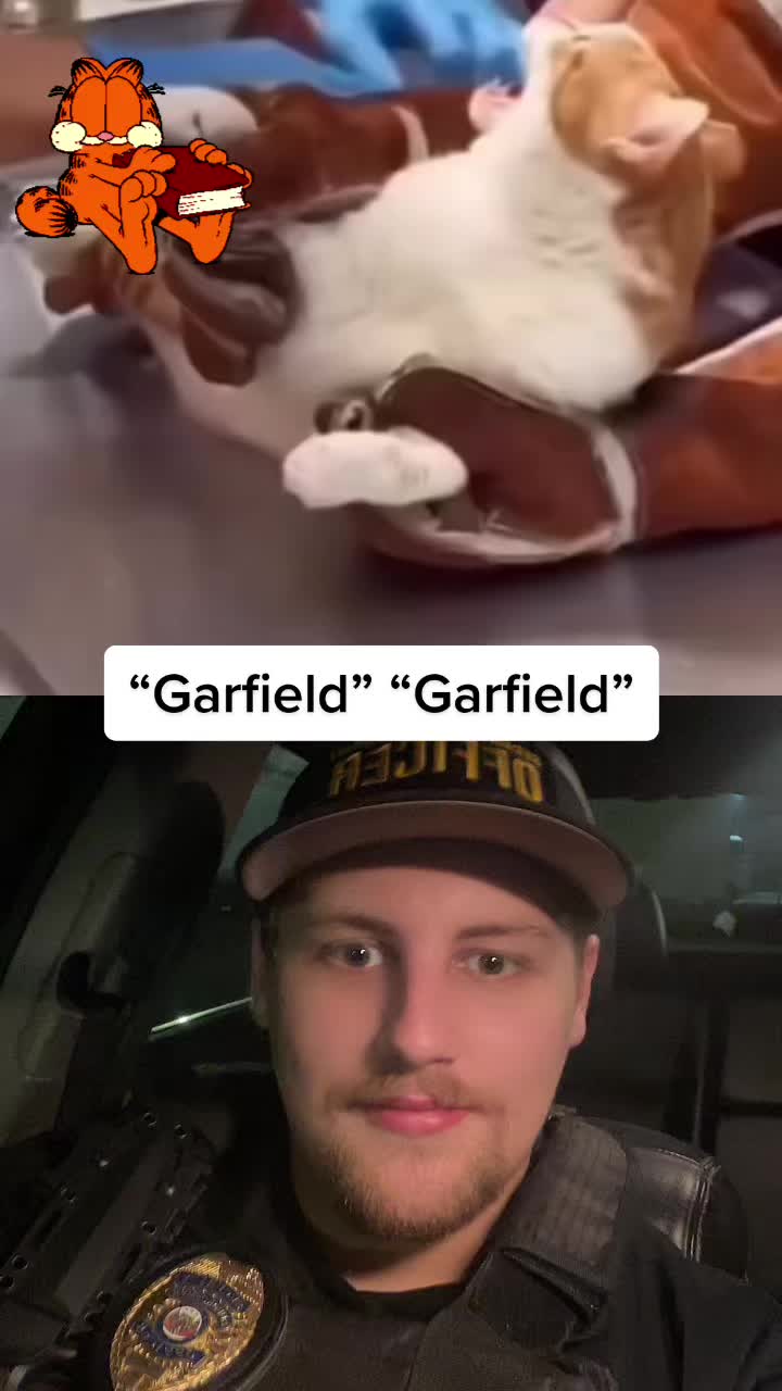 @Gabriel Harrison