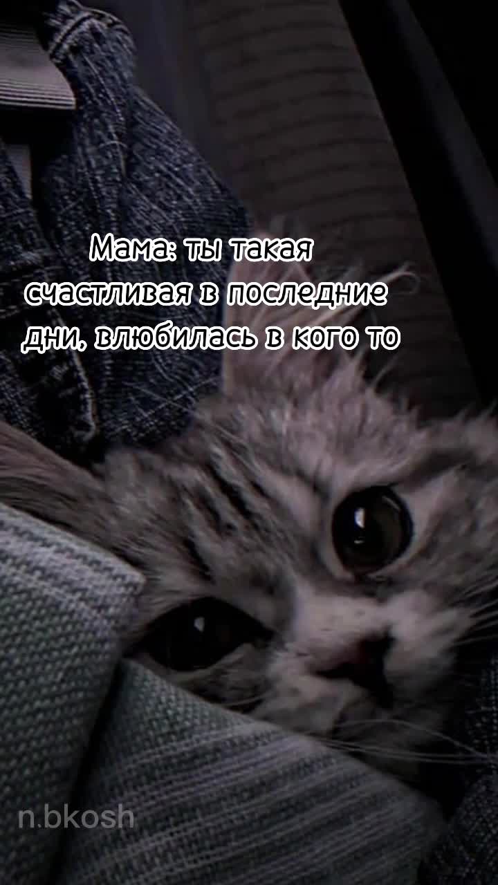 @Әнбикош🫶