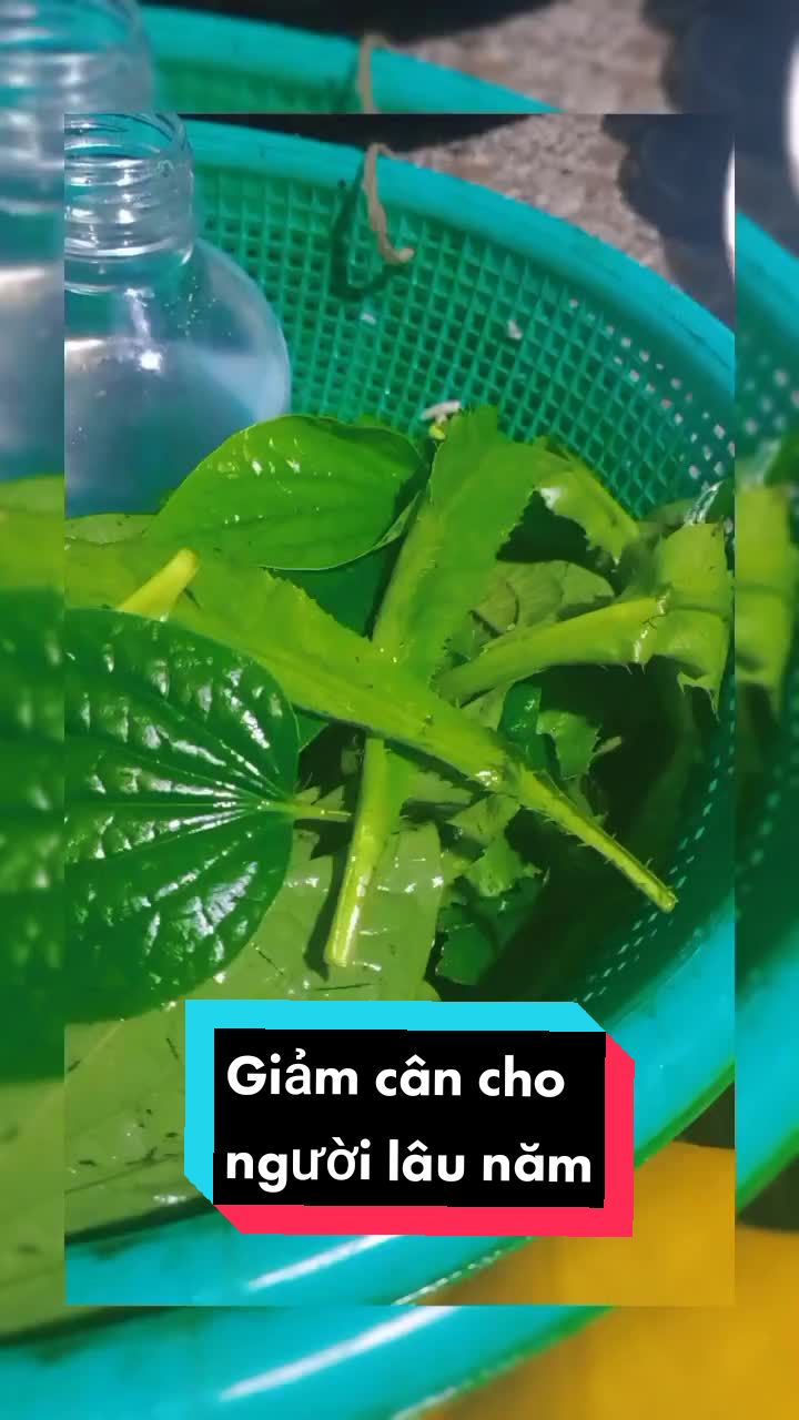 @Th&ugrave;y Dương Cần T&acirc;y