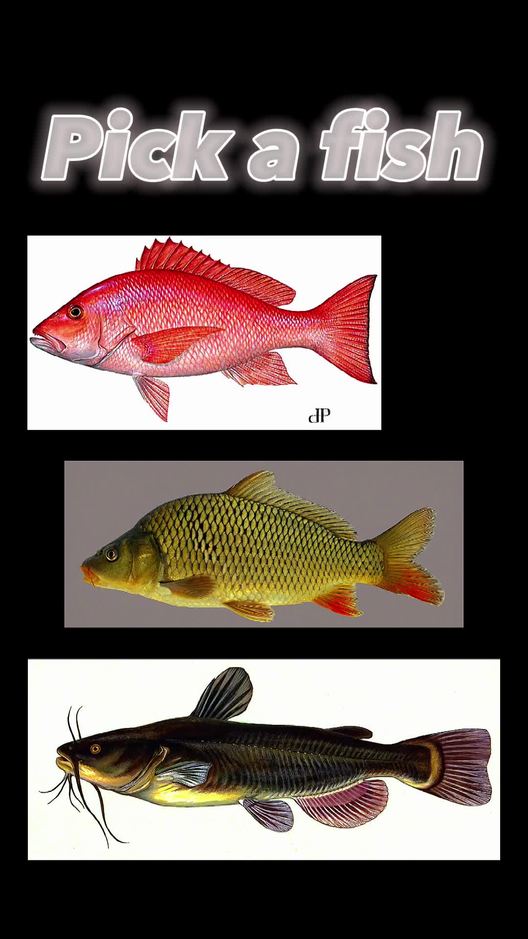 @DTFishin