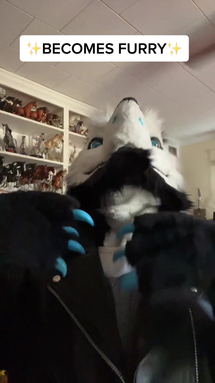 @Hazel Wolf