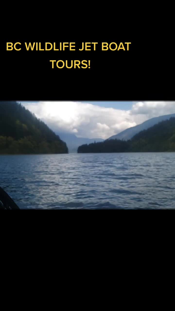 @BC WILDLIFE JETBOAT TOURS