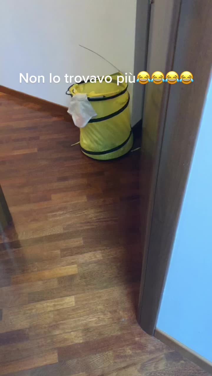 @chiaracarioti96