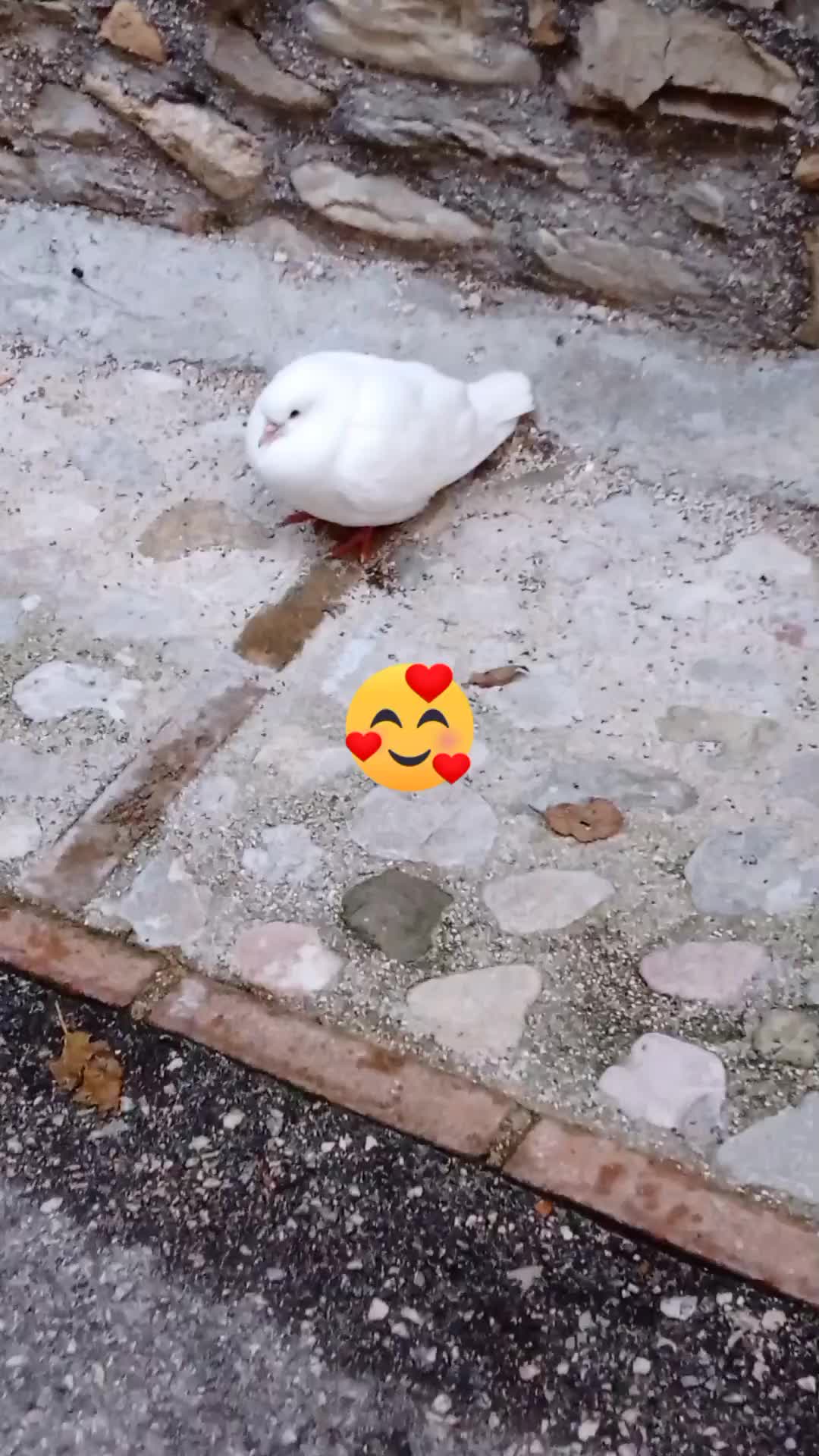 @Morena Capoccia