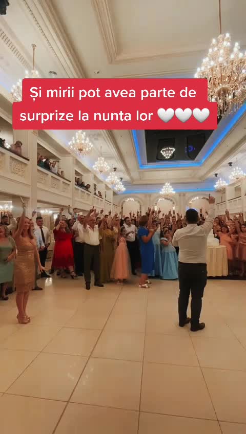 @Cristina Sucilea