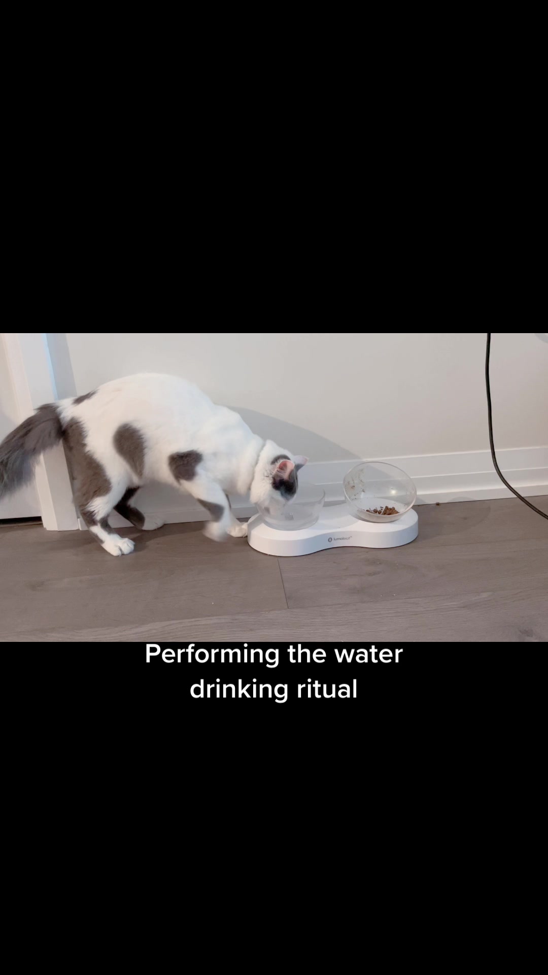 @FerociousRengar
