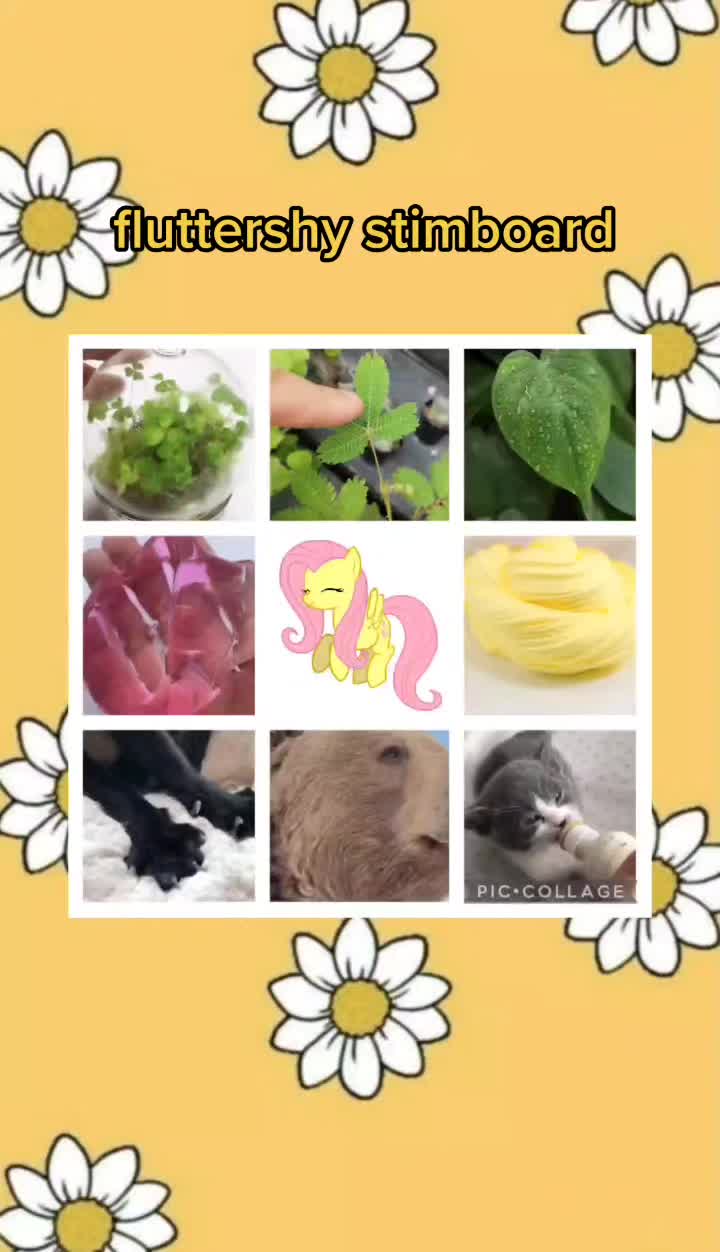@˚₊‧꒰ა 𝙰𝚜𝚑 ໒꒱ ‧₊˚