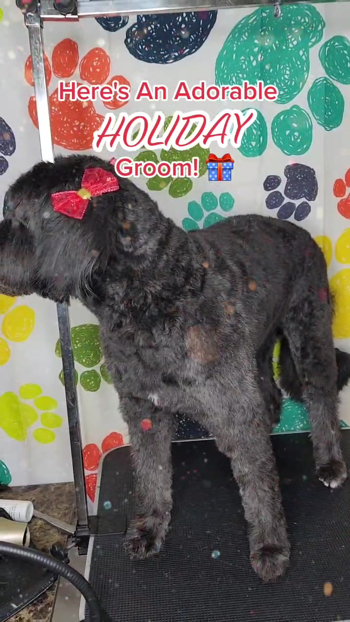 @diamondsdoggydaycare