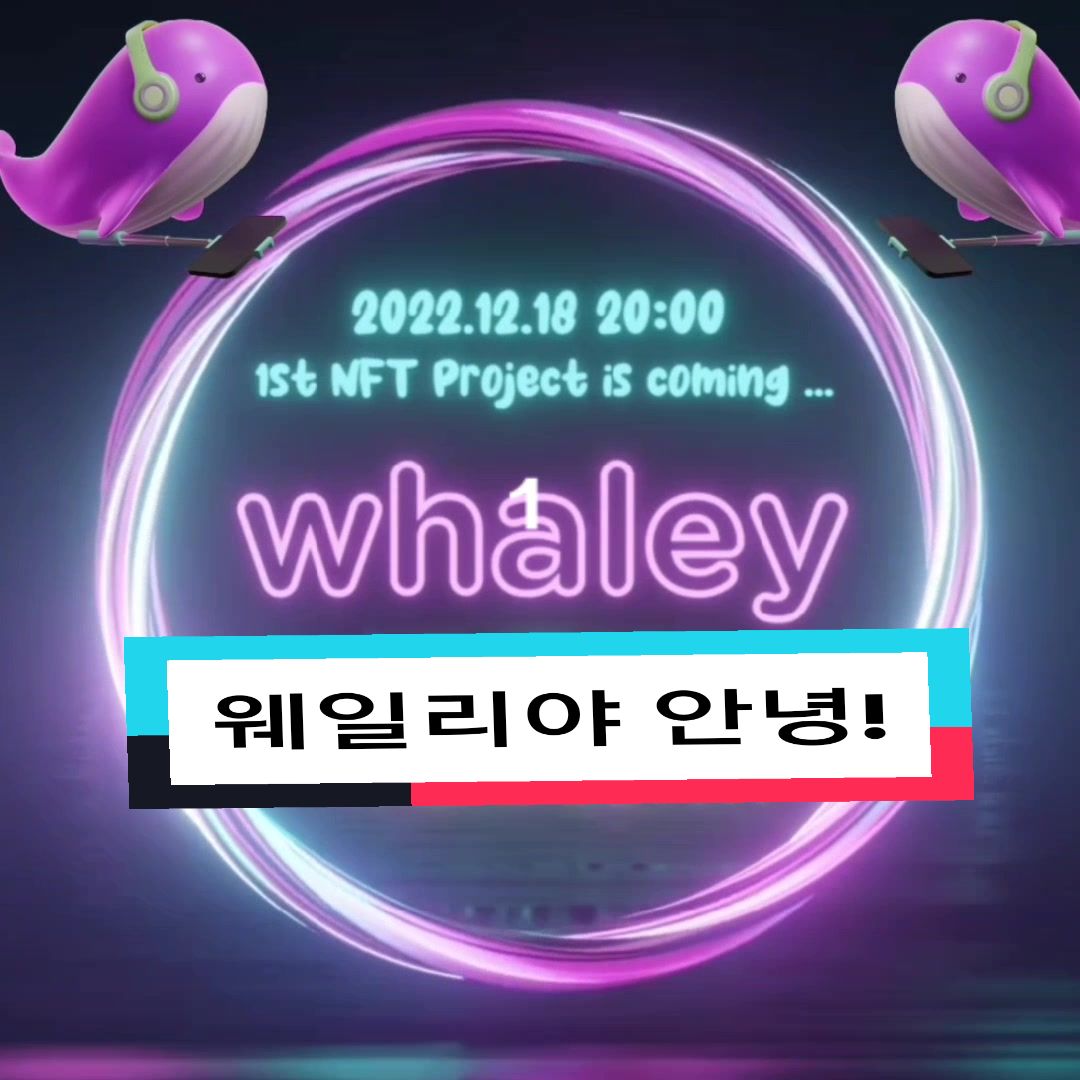 @스텔라테이블🇰🇷stella