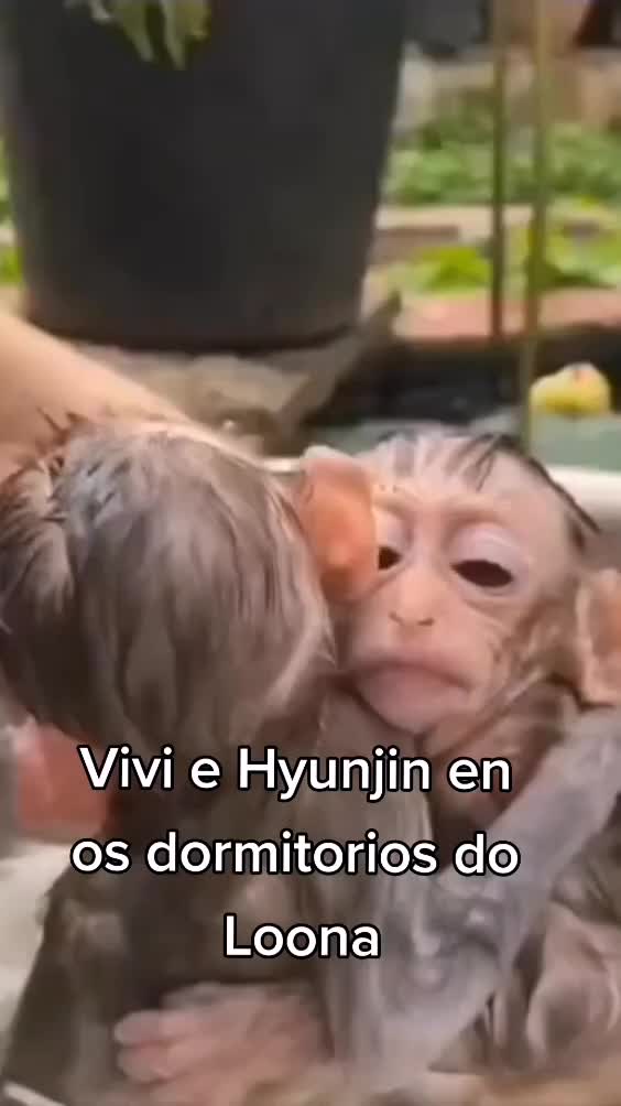 @Niskittles
