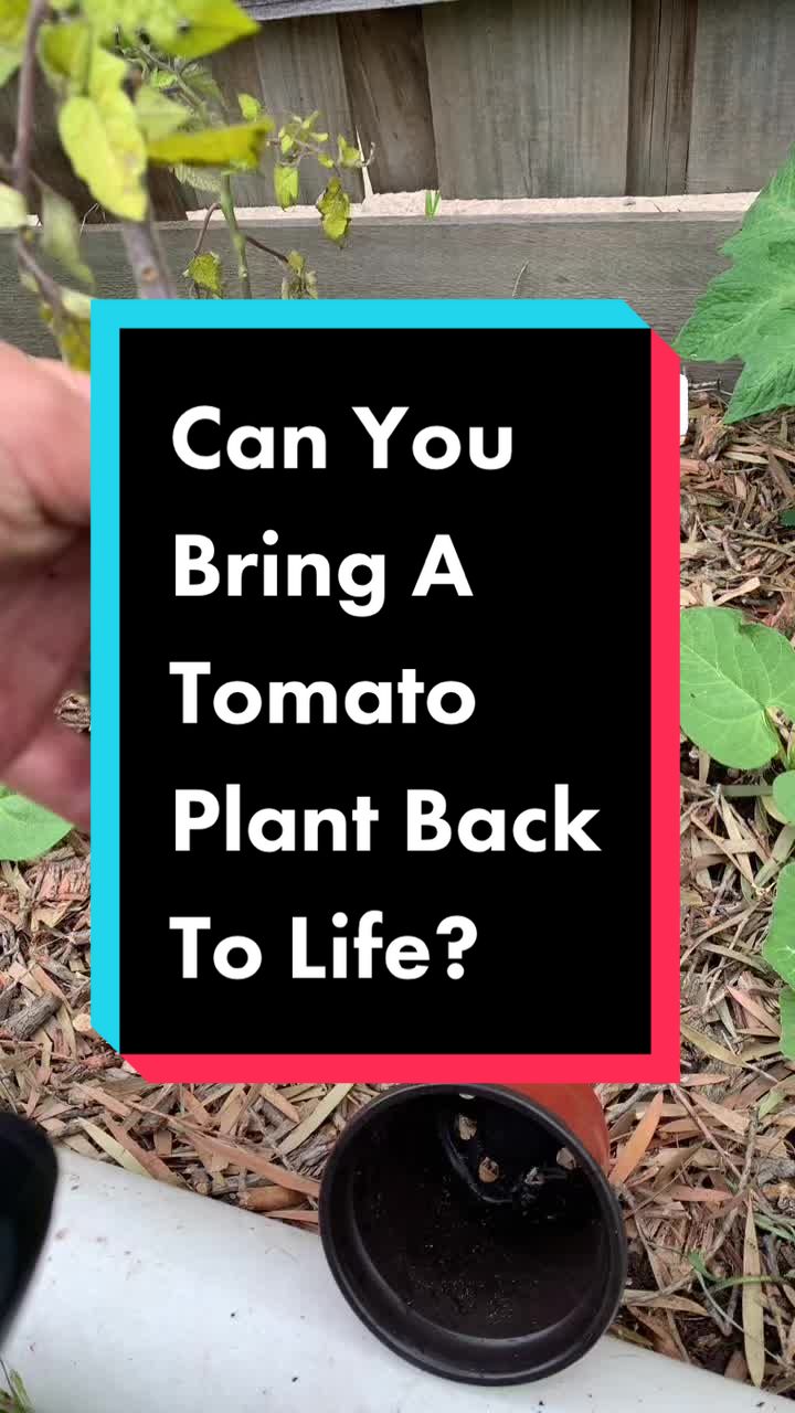 @busy chris gardening