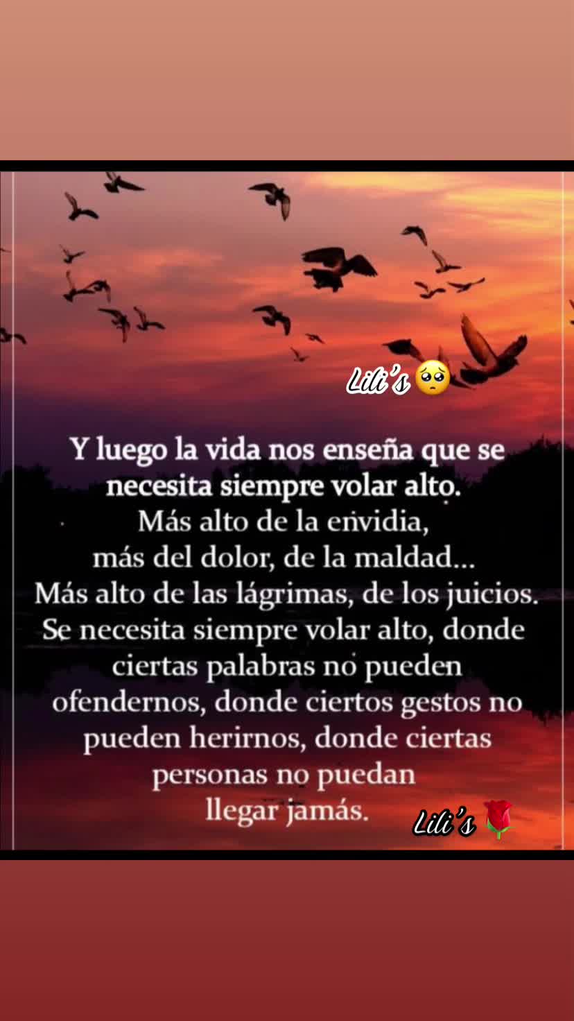 @🌹 Lily ❤️