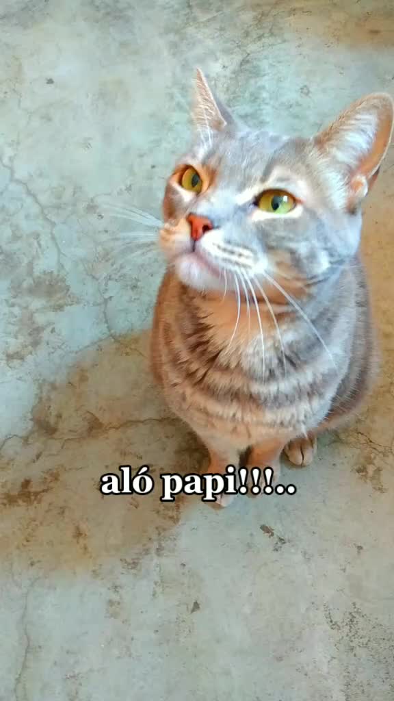 @Benita bonita