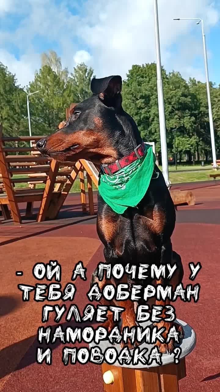 @qnzioh_mio:шерлок