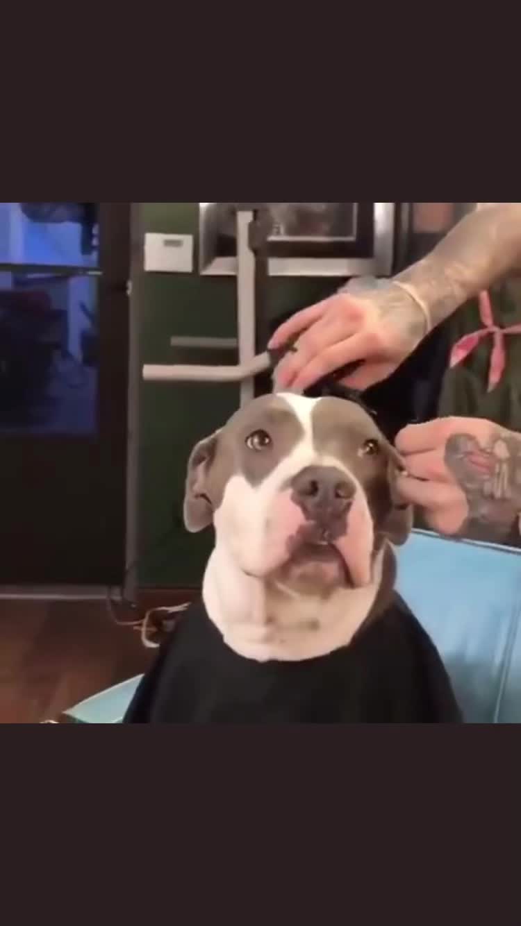@patshxrp