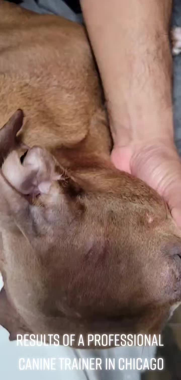 @PowerfulChessPiece