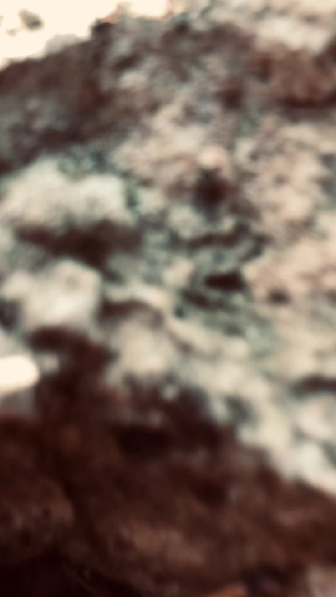 @finger.mtb