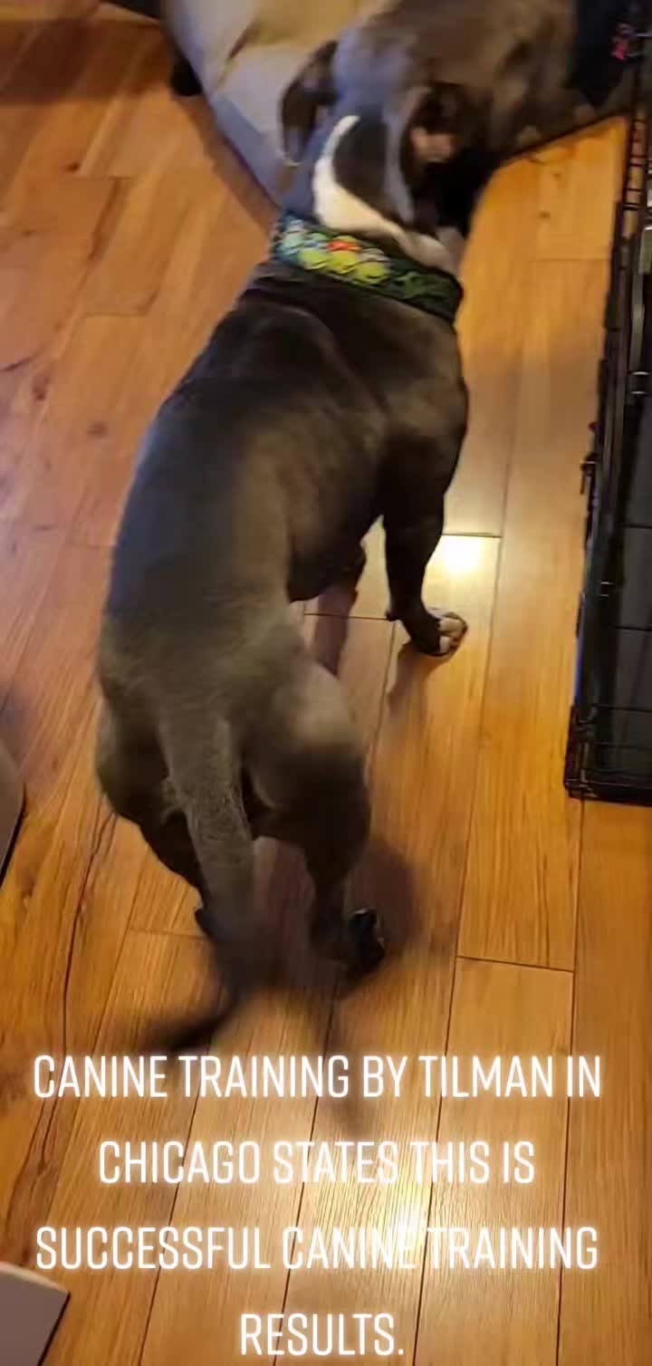 @PowerfulChessPiece