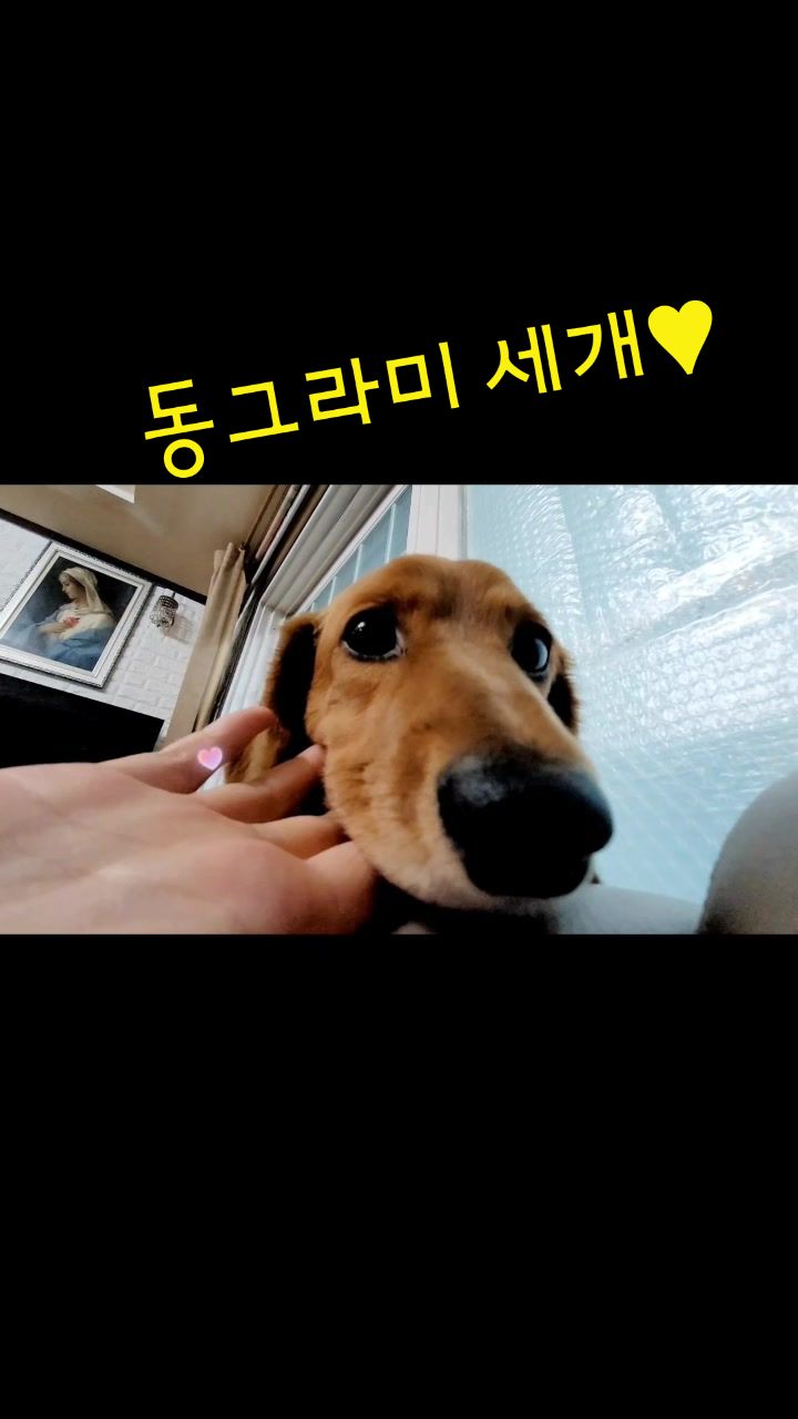 @짠주몬