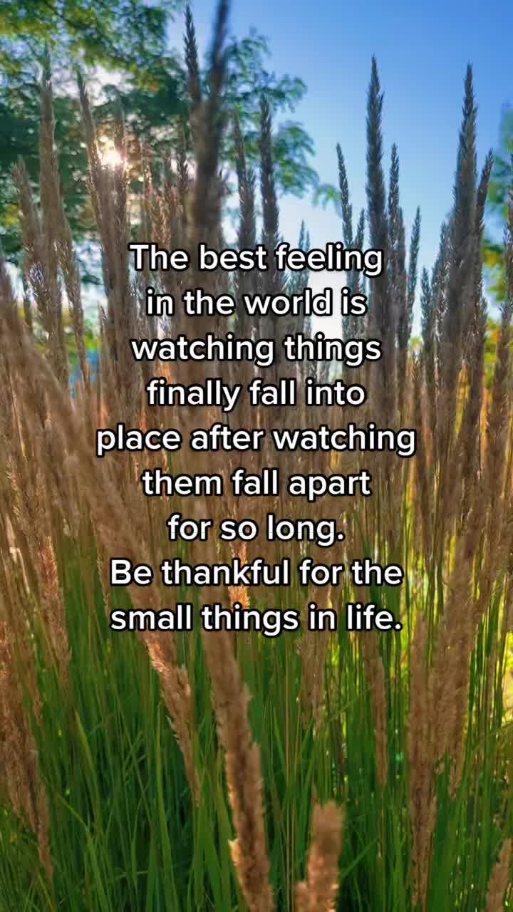 @Every Day Quotes