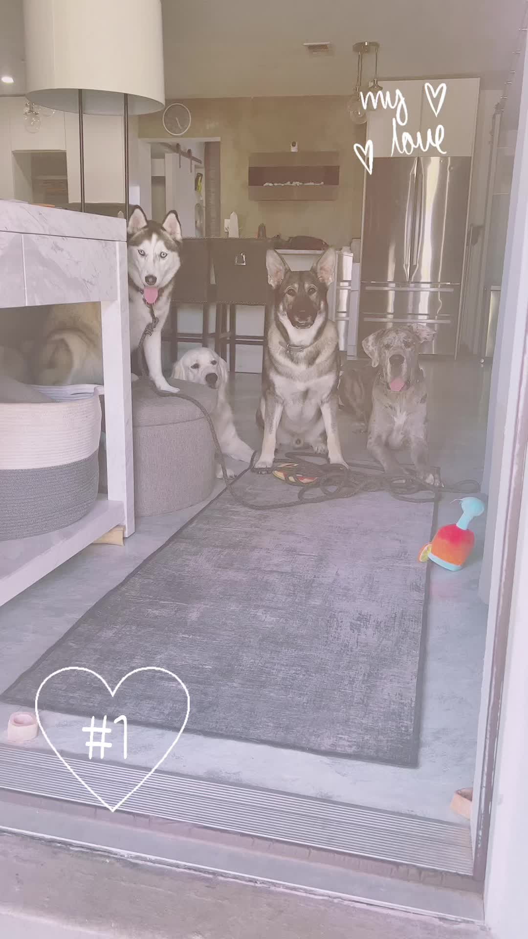 @Pompack
