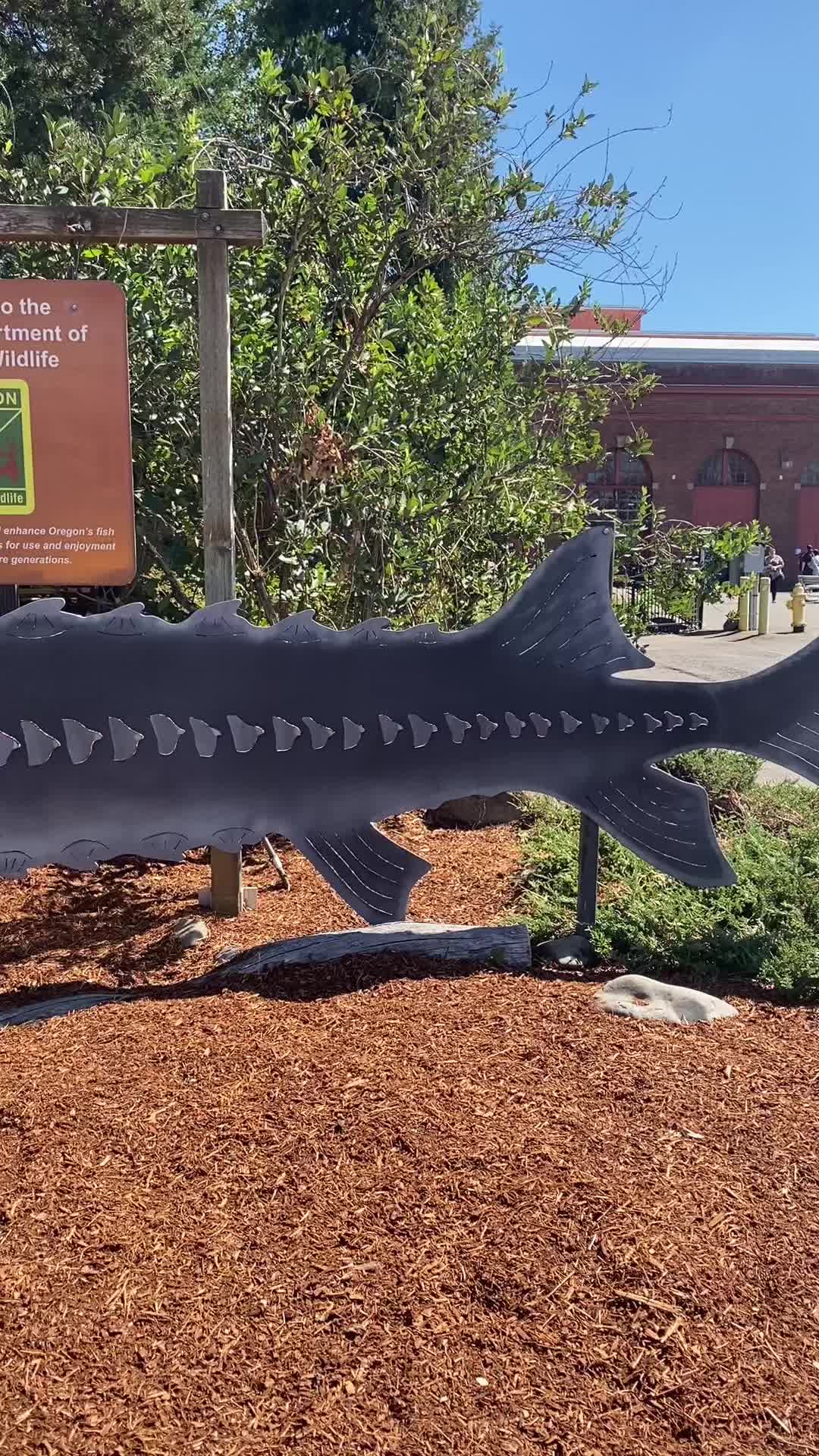 @oregonstatefair
