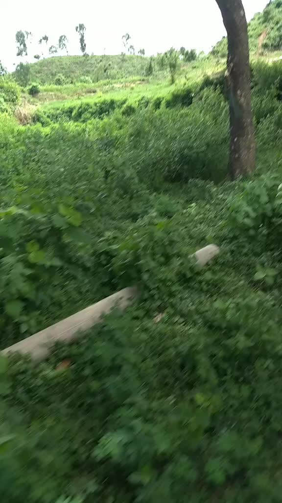 @myenuddinhasan40