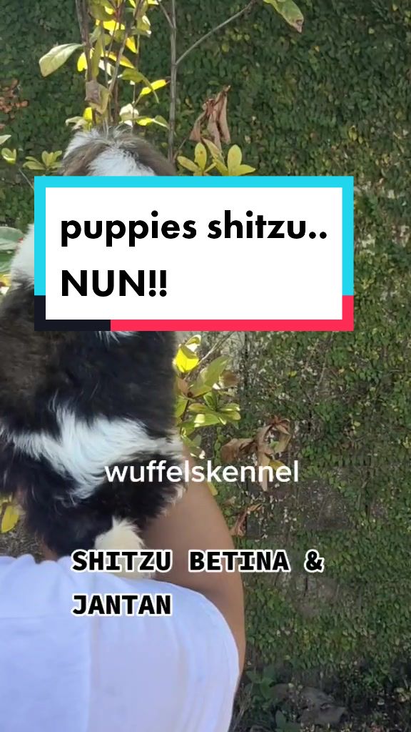 @wuffels