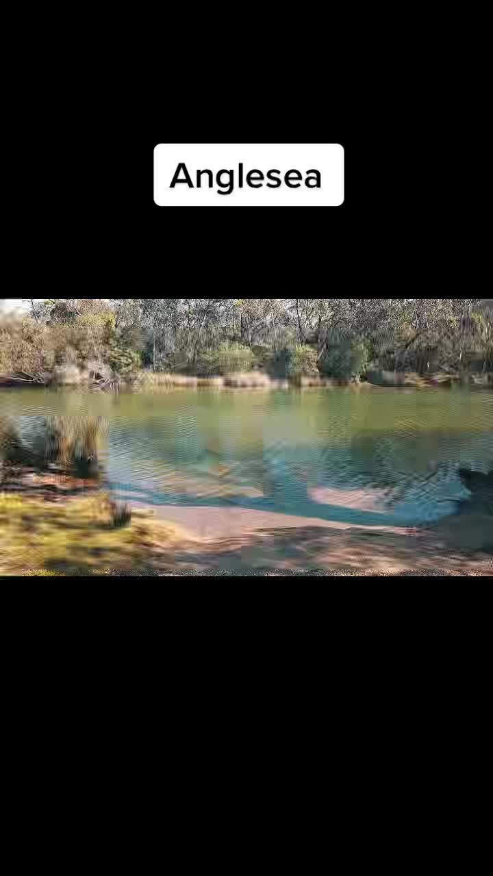 @dawnpartol70
