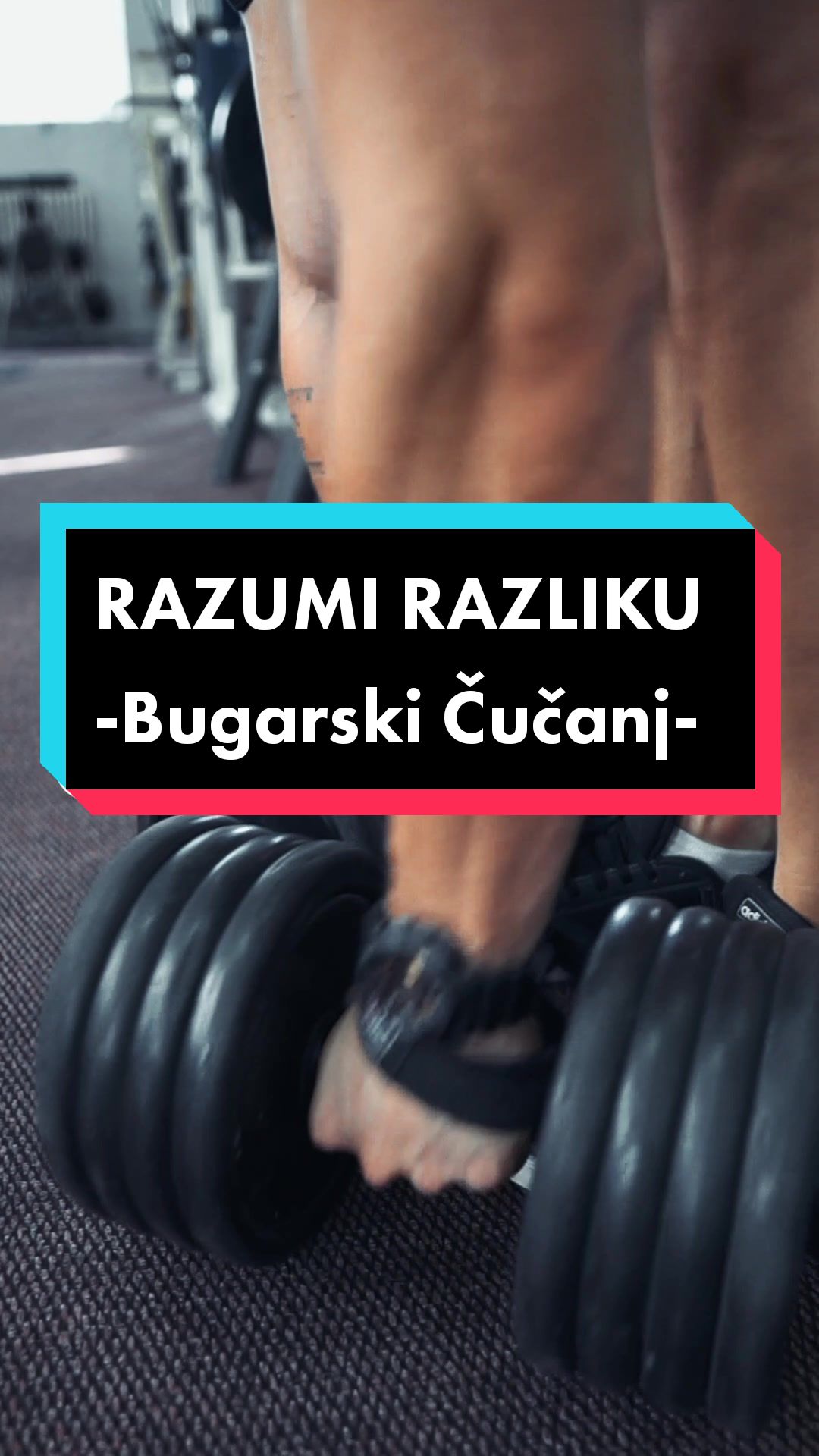 @Srdjan Mitić l Gym Saveti