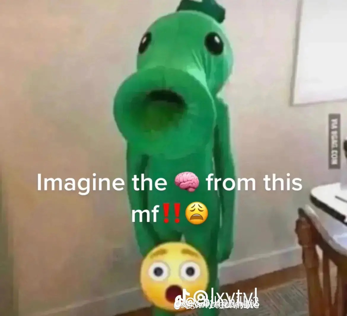 @Dylan