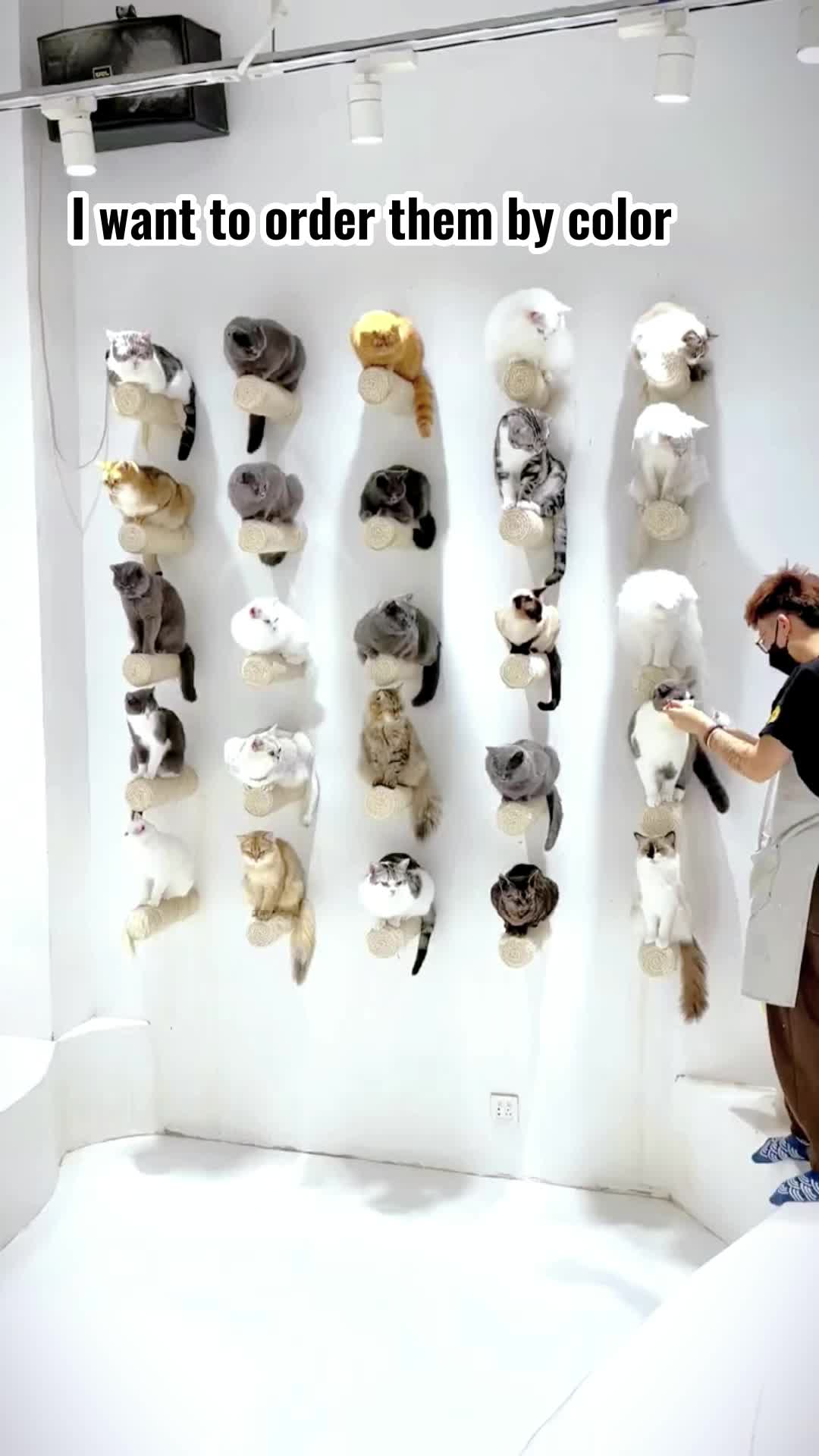 @user9249307473562