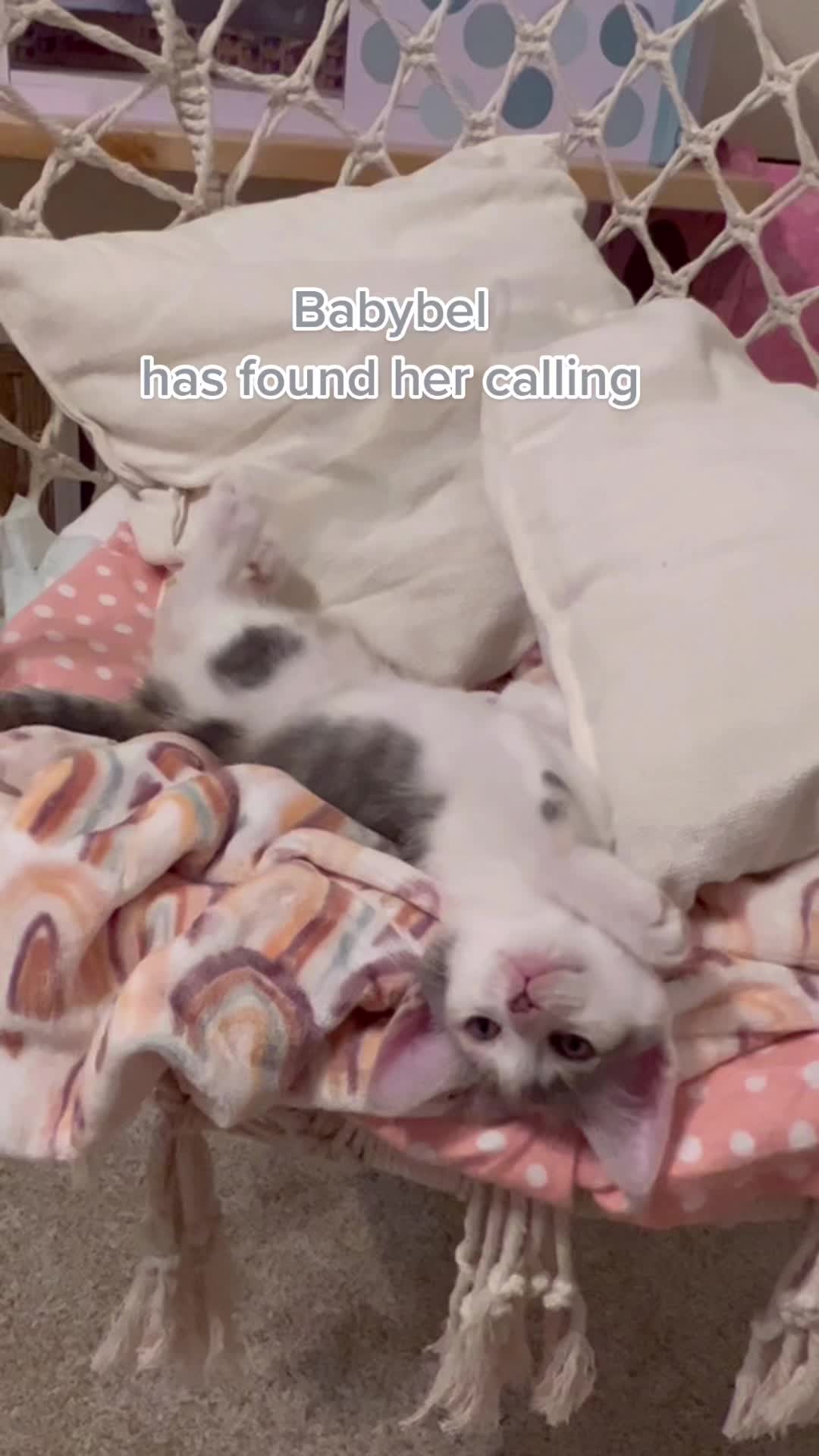 @WhatTheActualKaren