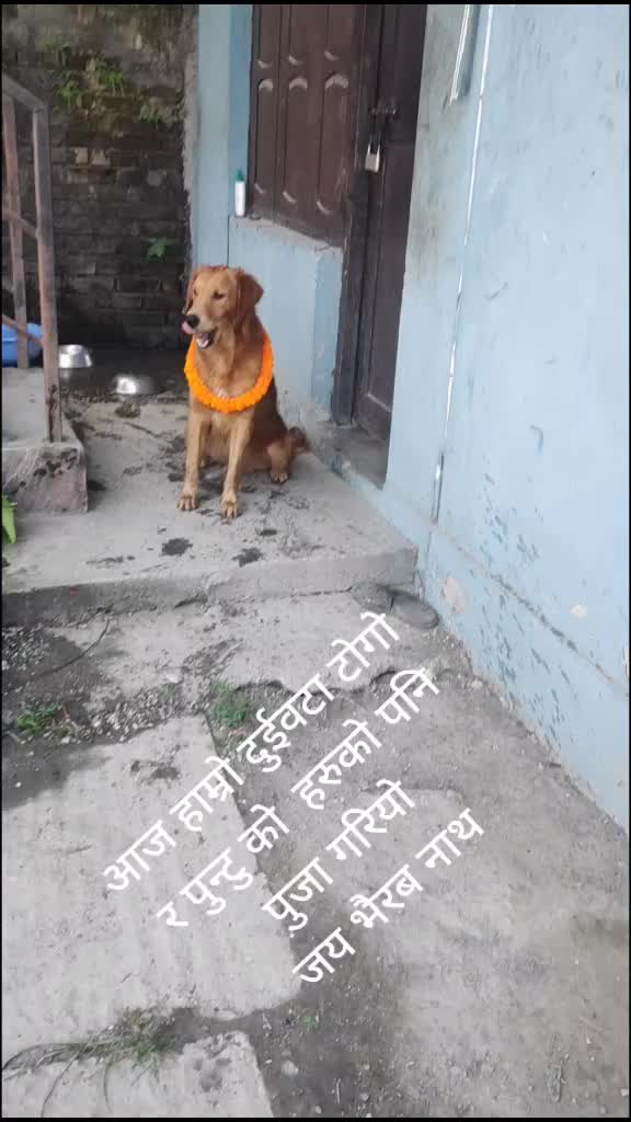 @Nita Sharma